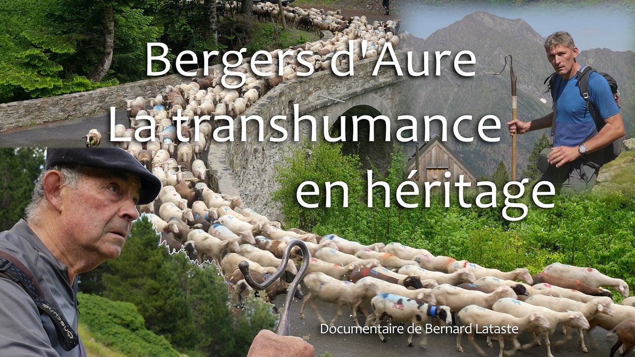 Bergers d'Aure : La transhumance en  héritage : Photo