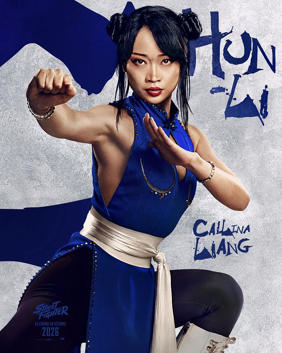 Street Fighter : Affiche