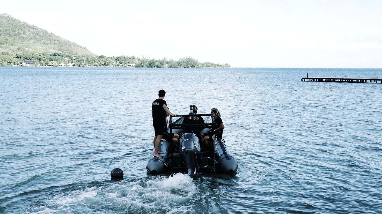 Titouan, les enfants du corail : Photo