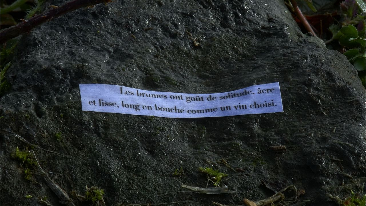 Dansons tant qu’on n’est pas mort : Photo