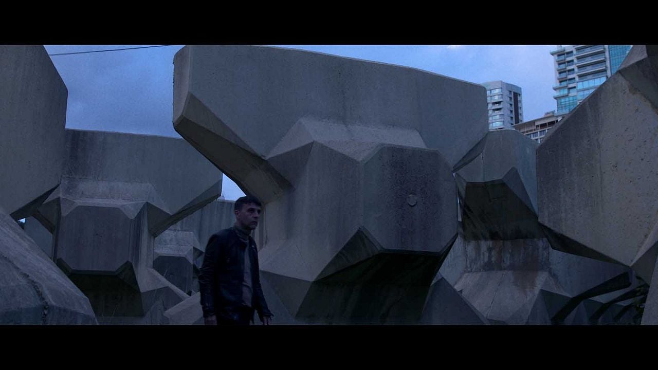 City Exterminator : Photo