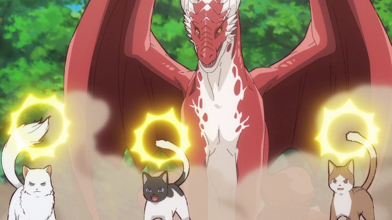 Cats and Dragon : Photo