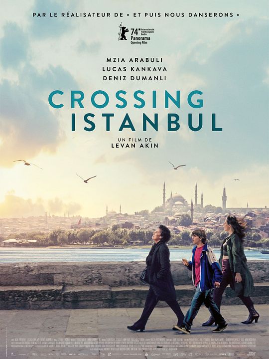 Crossing Istanbul : Affiche