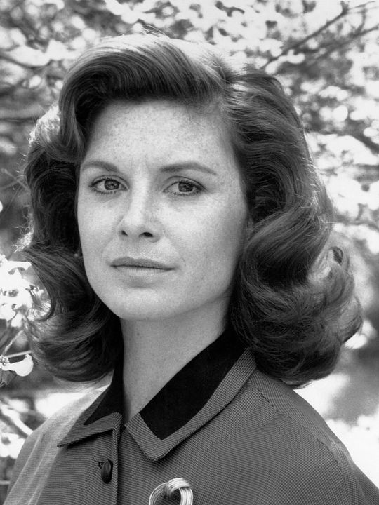 Affiche Stephanie Zimbalist
