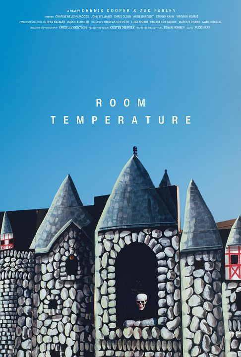 Room Temperature : Affiche