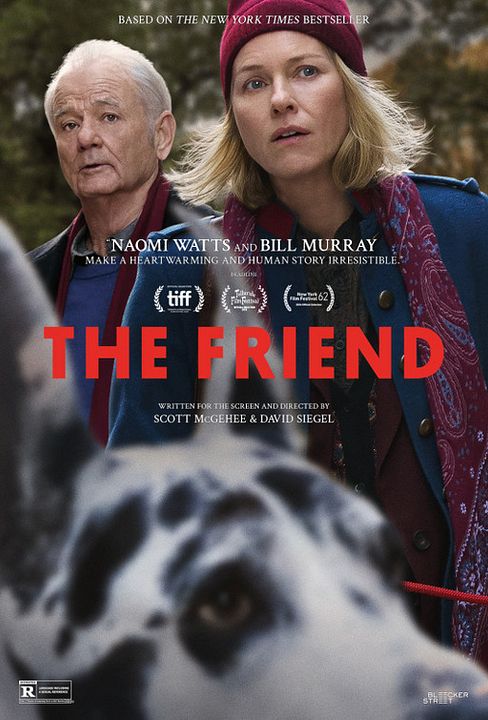 The Friend : Affiche