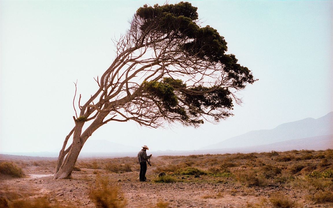 Catching Dust : Photo