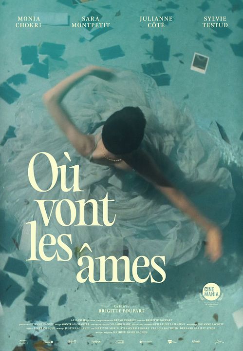 Où vont les âmes : Affiche
