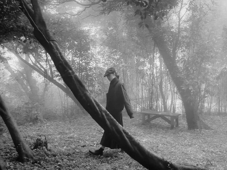 I'm Still Kind of a Daydreamer : Photo