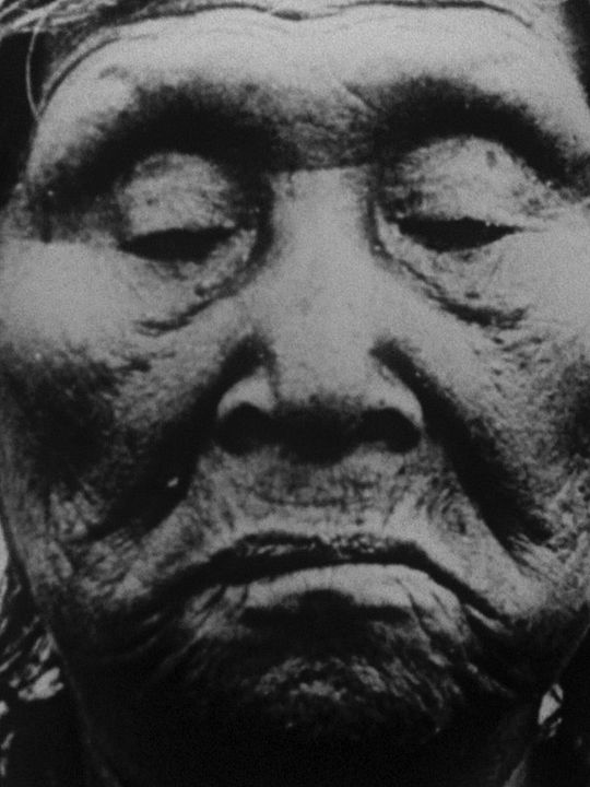 Planas, témoignage d’un ethnocide : Affiche