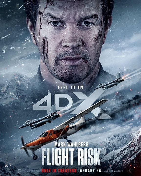Vol à haut risque : Affiche