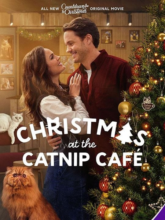 Un Noël chatoyant ! : Affiche