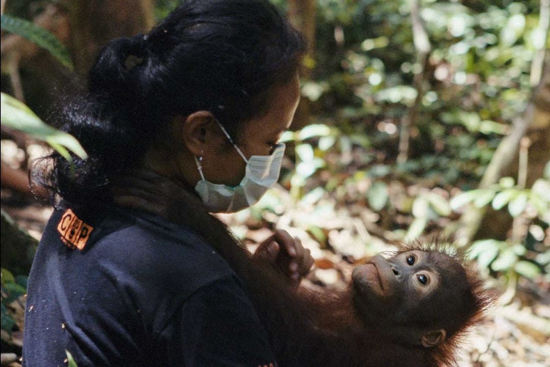 Popi ou l'état sauvage : Photo