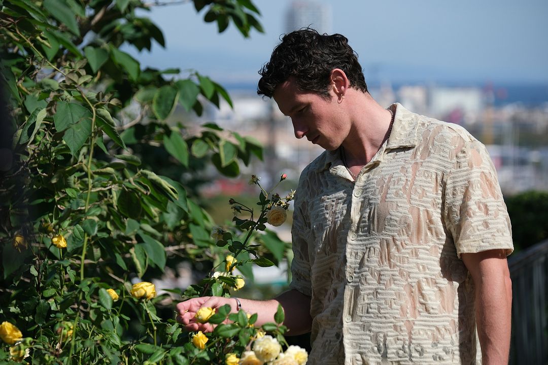 Rosebush Pruning : Photo