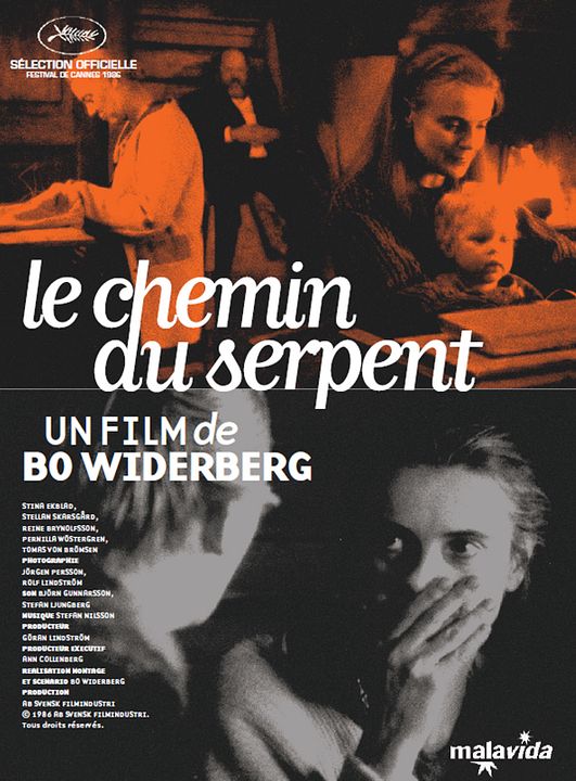 Le Chemin du serpent : Affiche