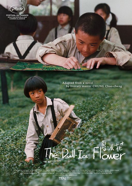 The Dull Ice Flower : Affiche