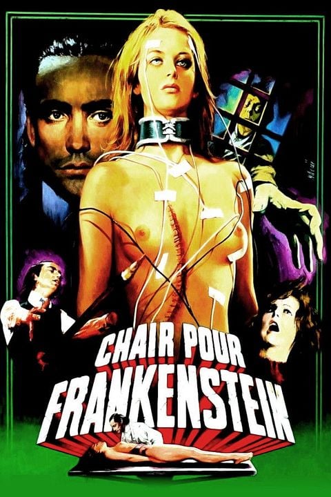 Chair pour Frankenstein : Affiche