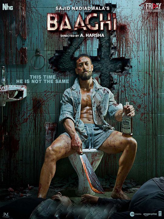 Baaghi 4 : Affiche