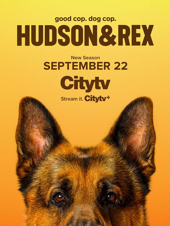 poster-hudson-et-rex-saison-8-affiche-1-sur-87-allocin