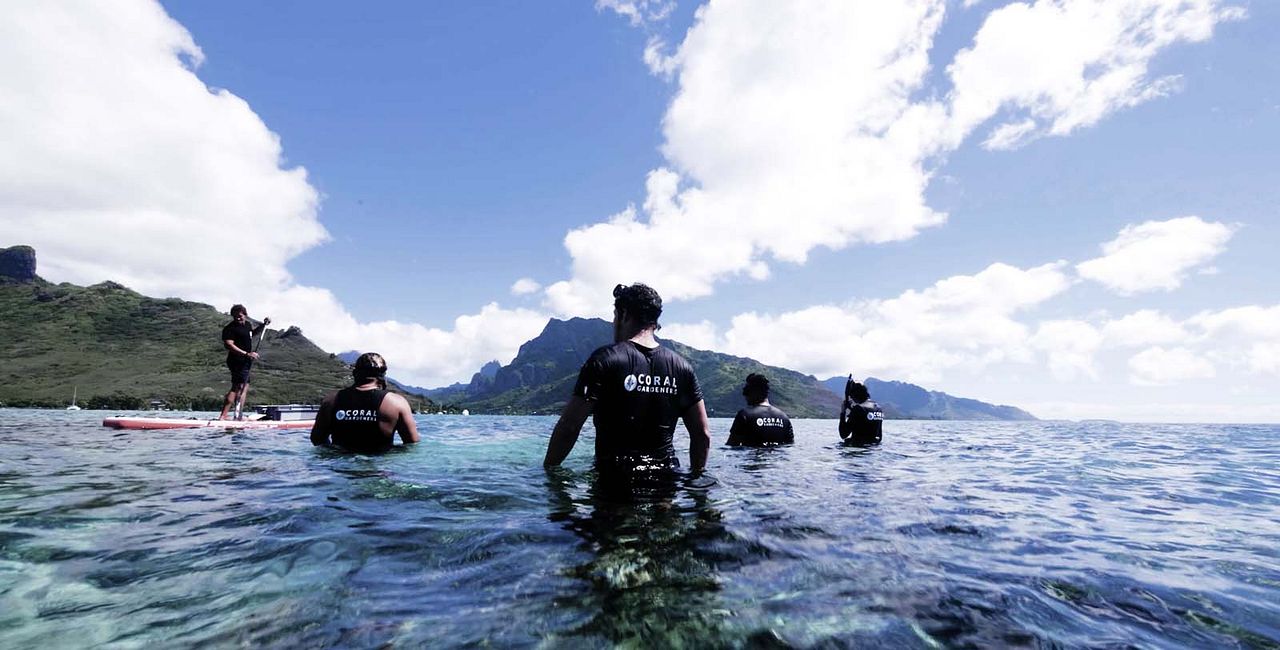 Titouan, les enfants du corail : Photo