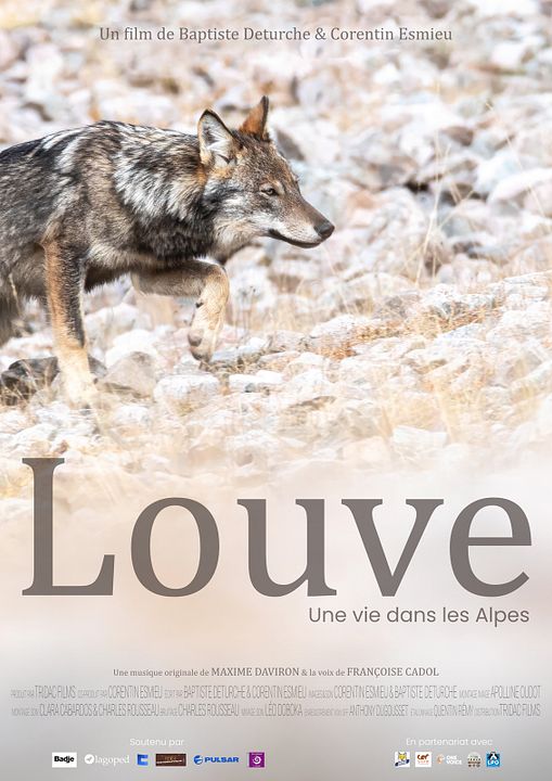 Louve, une vie dans les Alpes : Affiche