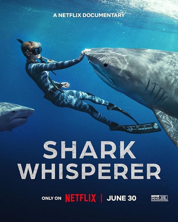 En paix avec les requins : Affiche