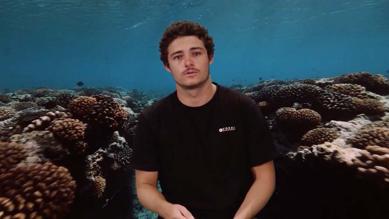 Titouan, les enfants du corail : Photo
