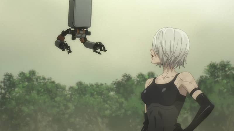 NieR:Automata Ver1.1a : Photo