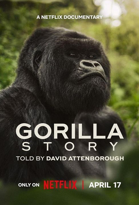 Une histoire de gorilles avec David Attenborough : Affiche