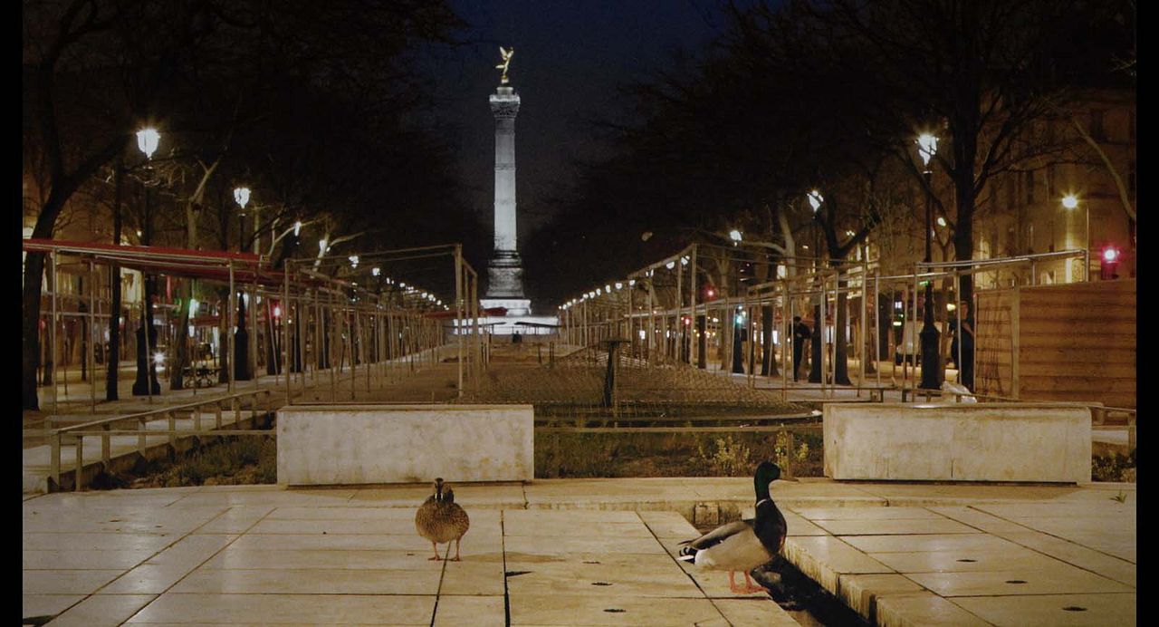 Ceci n'est pas une guerre : Photo