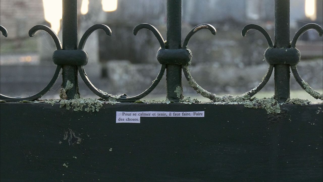 Dansons tant qu’on n’est pas mort : Photo