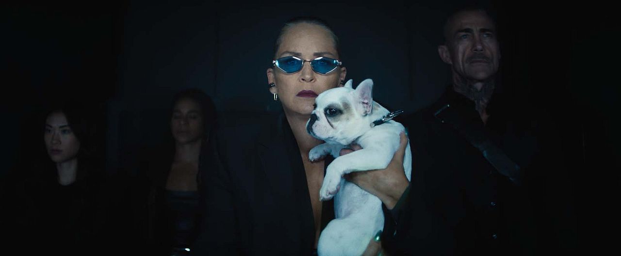 Nobody 2 : Photo Sharon Stone