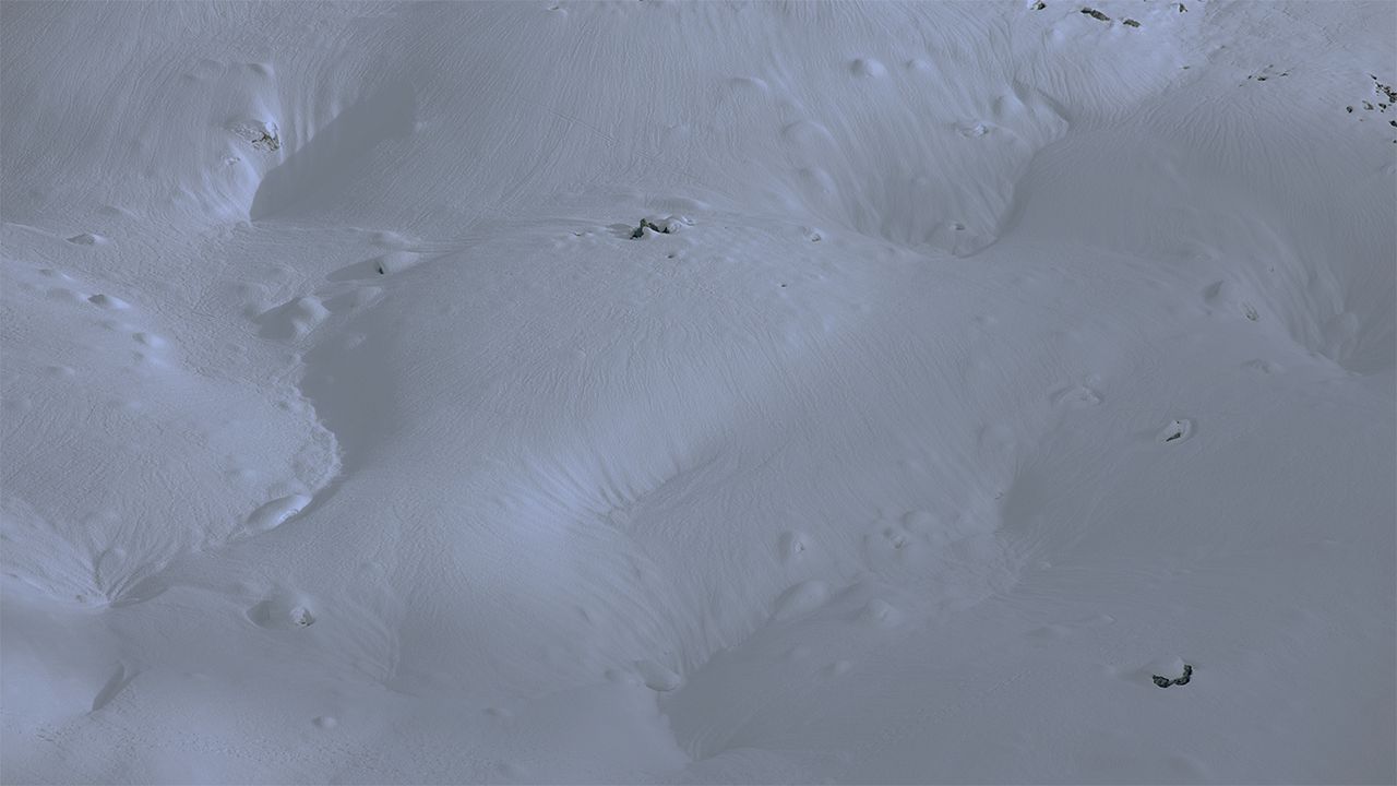 Pacheû : Photo
