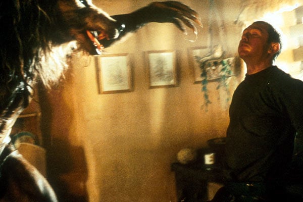 Dog Soldiers : Photo