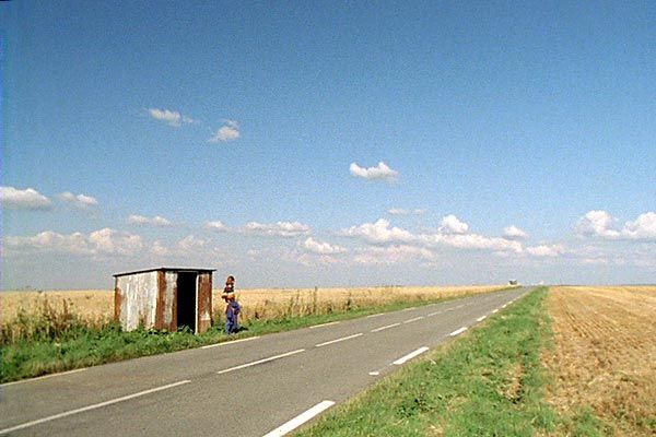 Peau de vache : Photo