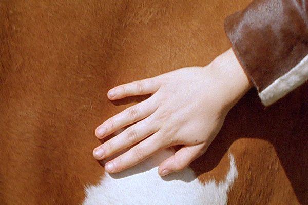Peau de vache : Photo