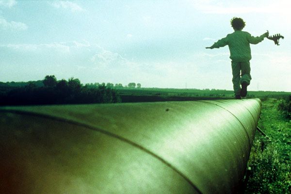 Des plumes dans la tête : Photo