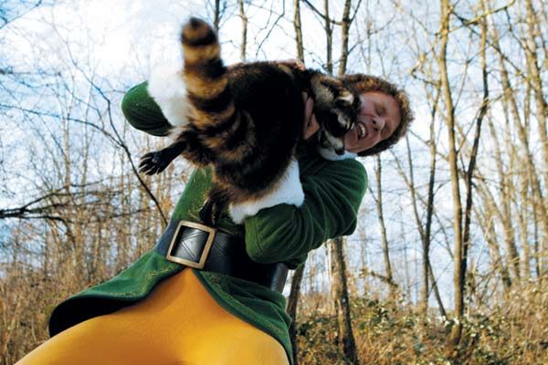 Elfe : Photo Will Ferrell