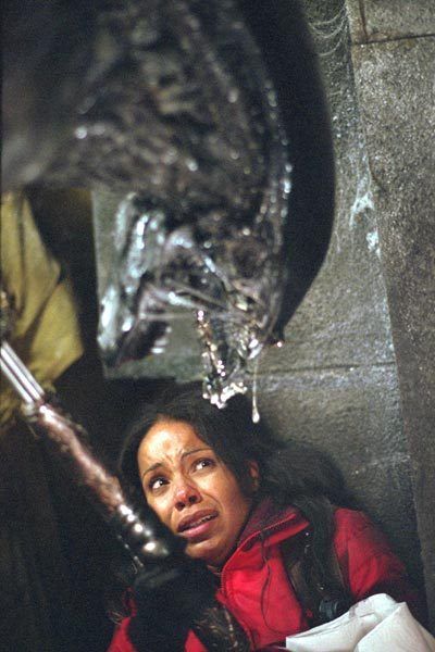 Alien vs. Predator : Photo
