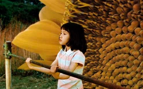 The Taste of tea : Photo Katsuhito Ishii