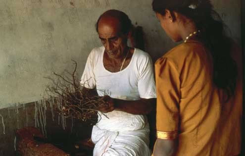 Ayurveda : Photo Pan Nalin