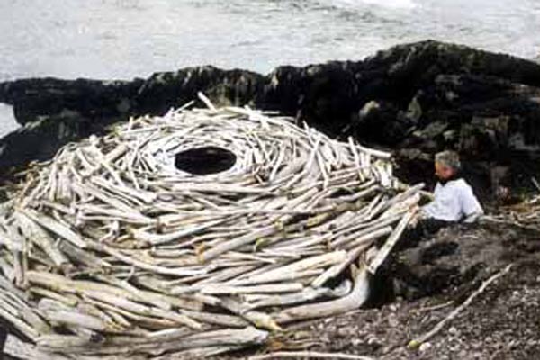 Rivers and Tides : Photo Thomas Riedelsheimer