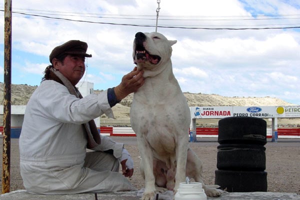 Bombon el perro : Photo Carlos Sorín