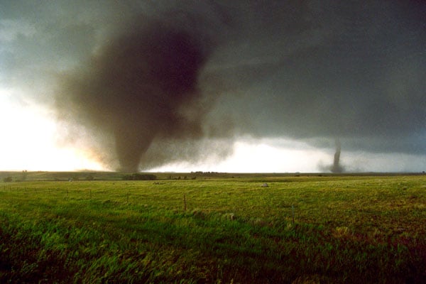 Forces de la nature : Photo George Casey