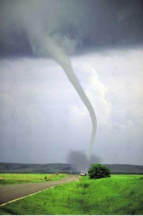 Forces de la nature : Photo George Casey