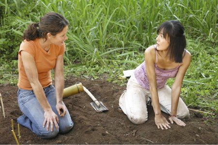 Lost : Les Disparus : Photo