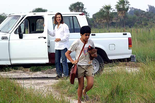 Nordeste : Photo Carole Bouquet, Juan Solanas