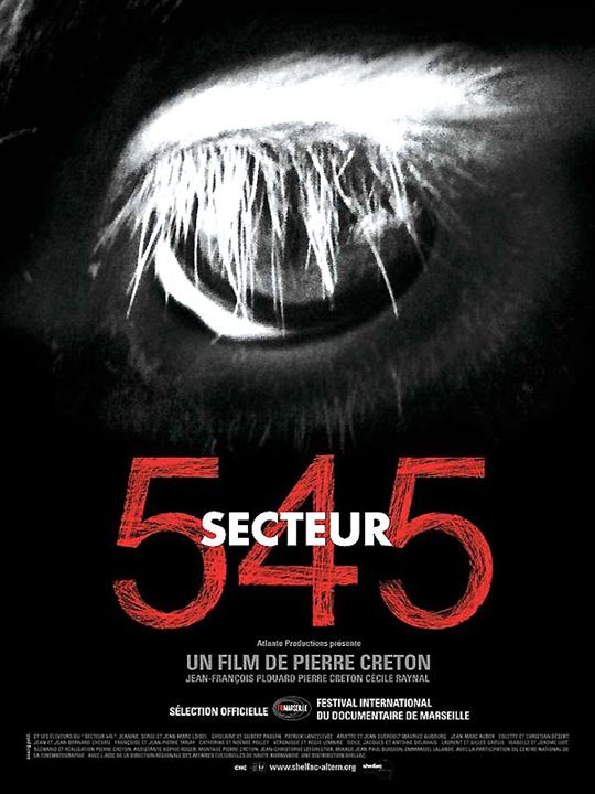 Secteur 545 : Affiche Pierre Creton