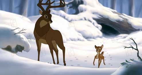 Bambi 2 : Photo Brian Pimental