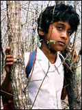 Affiche Pumidika Sapurni Peiris